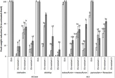 Target-Site and Non-target-Site Resistance Mechanisms Confer Multiple and Cross- Resistance to ALS and ACCase Inhibiting Herbicides in Lolium rigidum From Spain